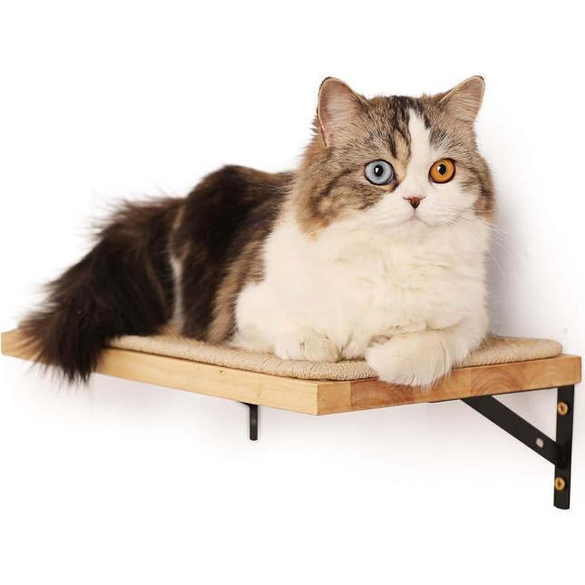 Kletterwand Katzen, Katzenbett Wand