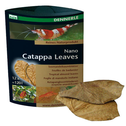 Feuilles Nano Catappa, environ 6,5x8,5 cm 12 pièces pour 120 litres