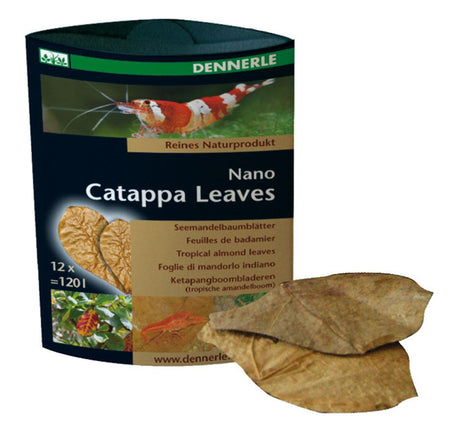 Feuilles Nano Catappa, environ 6,5x8,5 cm 12 pièces pour 120 litres