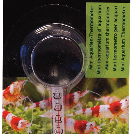 Thermomètre Nano Therm