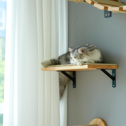 Kletterwand Katzen, Katzenbett Wand