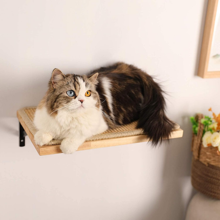 Kletterwand Katzen, Katzenbett Wand