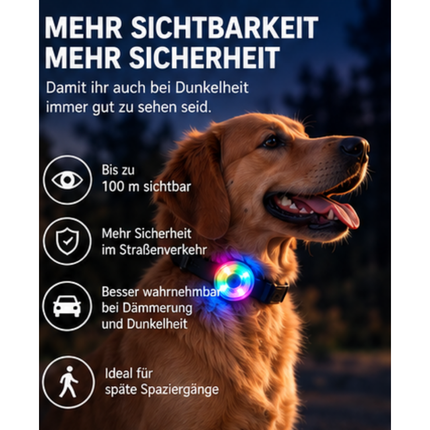 LED Hundelicht 2er-Set