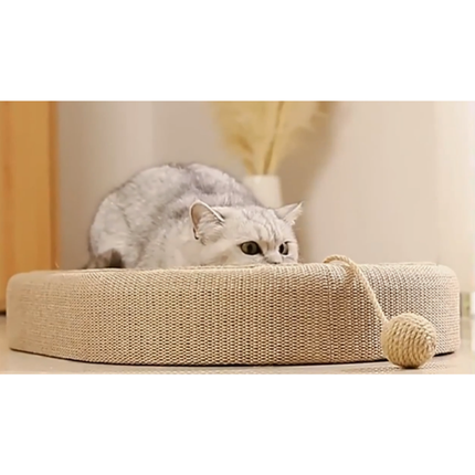 Kratzbett Katze
