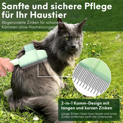 Katzenbürste