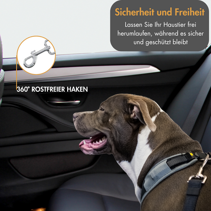 Anschnallgurt Hund Auto