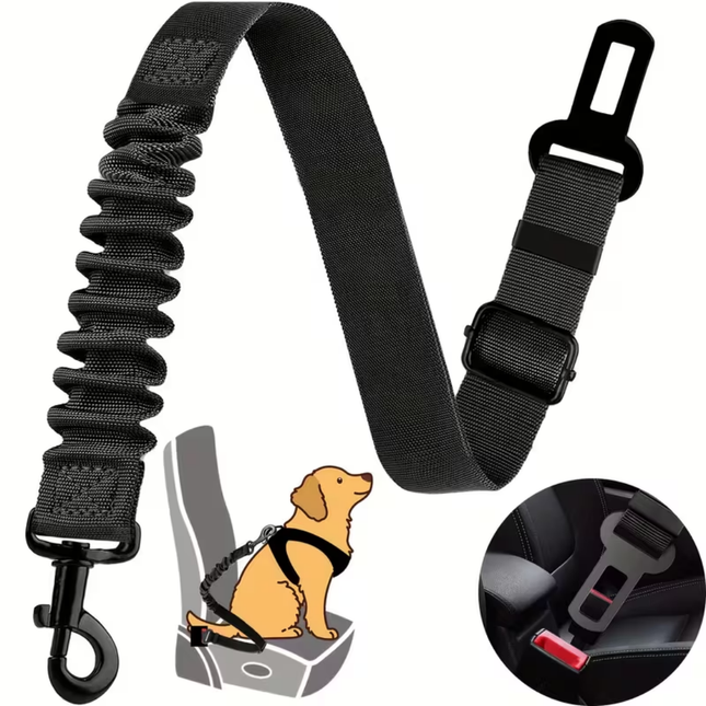 Hundegurt fürs Auto
