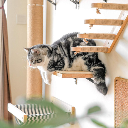 Kletterwand Katzen, Katzenbett Wand