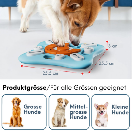 Intelligenzspielzeug für Hunde