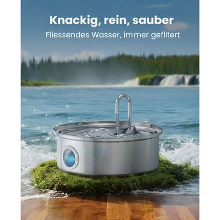 7L Trinkbrunnen für Hunde