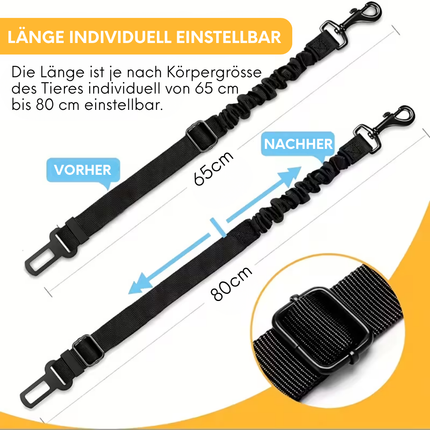 Hundegurt fürs Auto