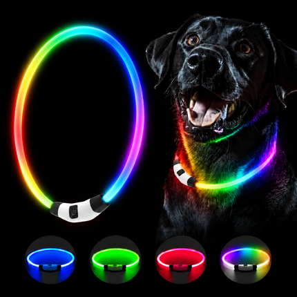 Leuchthalsband Hund USB Aufladbar