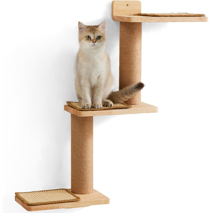 Kletterwand Katzen