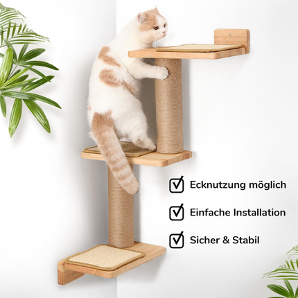 Kletterwand Katzen