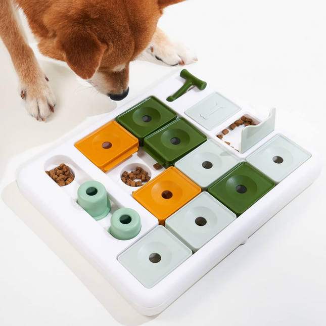 Hundespielzeug Intelligenz - Stufe 3 Fortgeschrittene