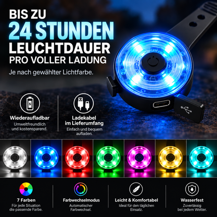 LED Hundelicht 2er-Set
