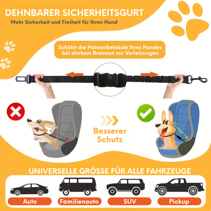 Hundegurt fürs Auto