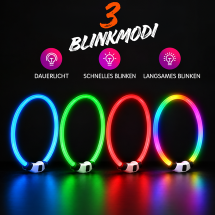 Leuchthalsband Hund USB Aufladbar