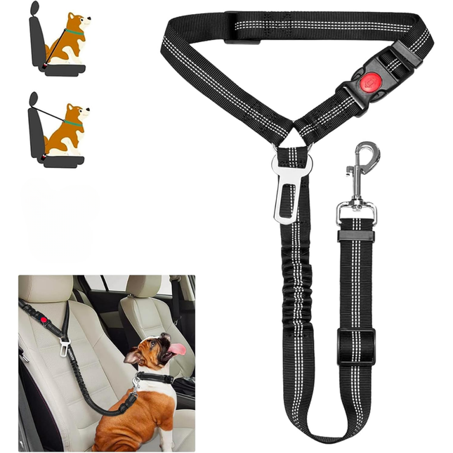 Hundegurt fürs Auto