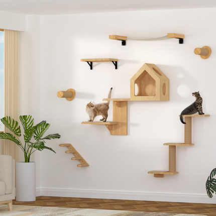 Kletterwand Katzen