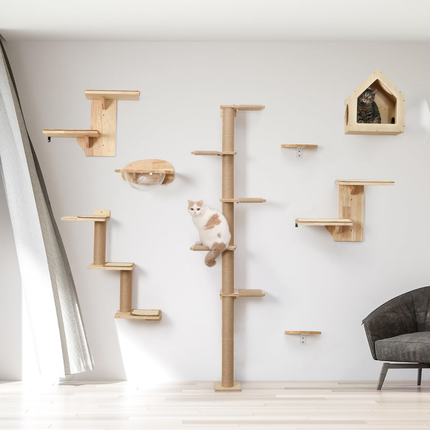 Kletterwand Katzen