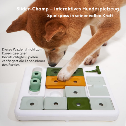 Hundespielzeug Intelligenz - Stufe 3 Fortgeschrittene