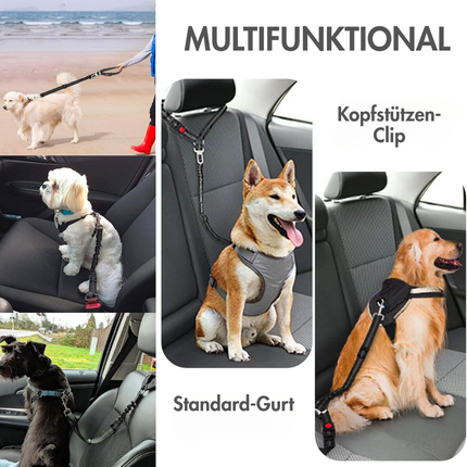 Hundegurt fürs Auto