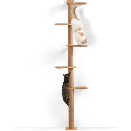 Hoher Katzenbaum, 5 Etagen