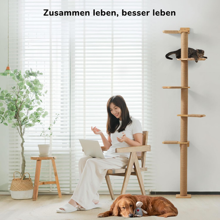 Hoher Katzenbaum, 5 Etagen