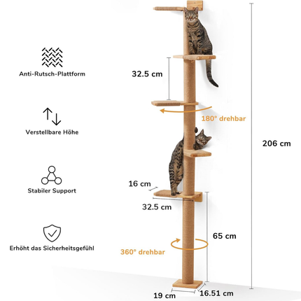 Hoher Katzenbaum, 5 Etagen