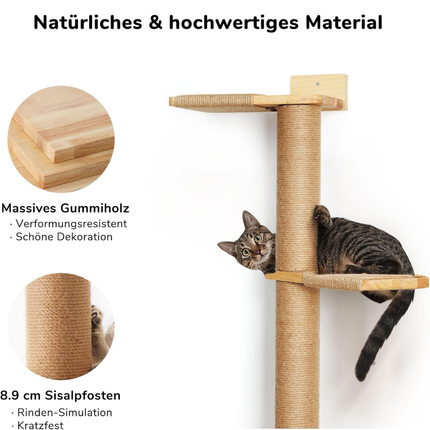 Hoher Katzenbaum, 5 Etagen