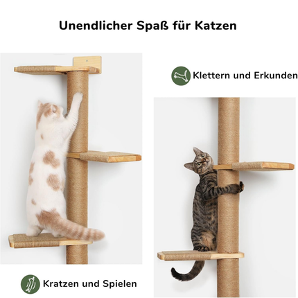 Hoher Katzenbaum, 5 Etagen