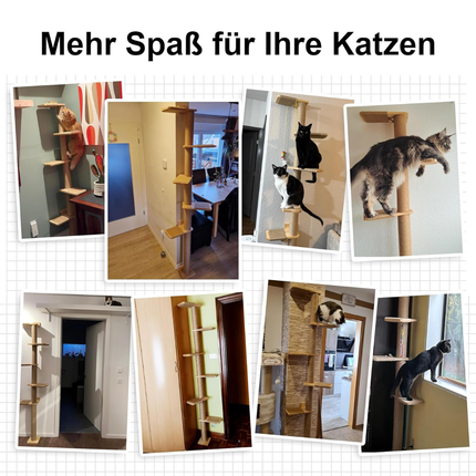 Hoher Katzenbaum, 5 Etagen