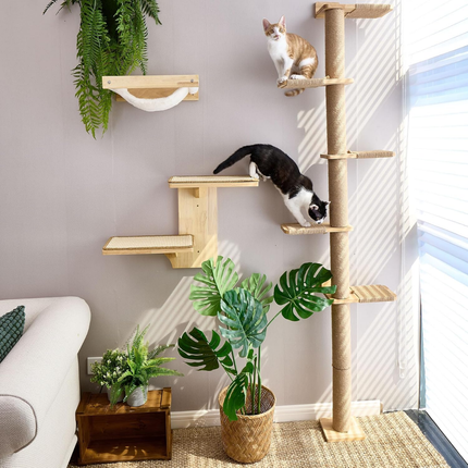 Hoher Katzenbaum, 5 Etagen