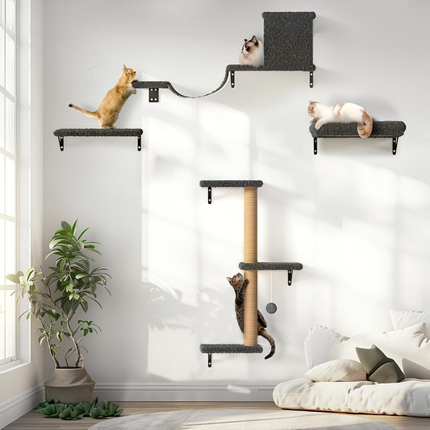 Kletterwand Katzen Set