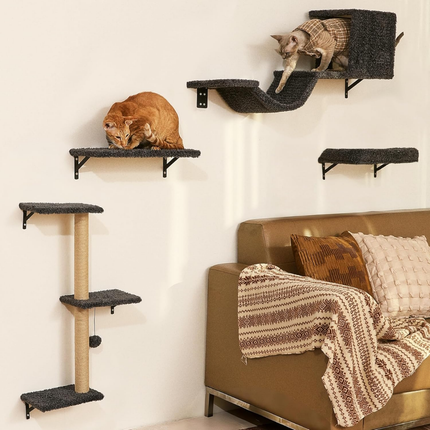 Kletterwand Katzen Set