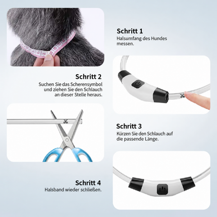 Leuchthalsband Hund USB Aufladbar