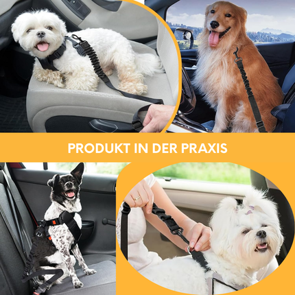 Hundegurt fürs Auto