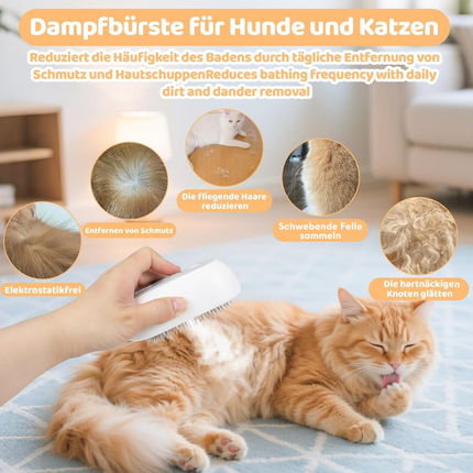 Katzenbürste mit Dampf
