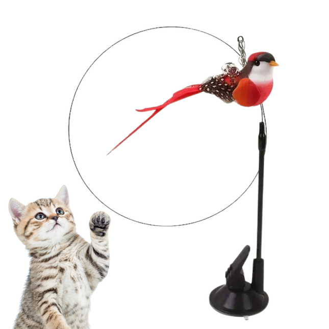 Katzenangel stabil