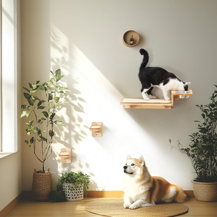 3-in-1 Katzenmöbel-Set