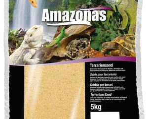 Collection image for: Terrariums et accessoires