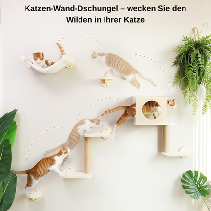 Katzenwandregal-Set 5-in-1