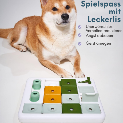 Hundespielzeug Intelligenz - Stufe 3 Fortgeschrittene