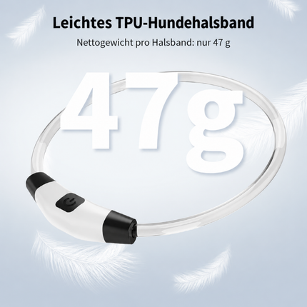 Leuchthalsband Hund USB Aufladbar