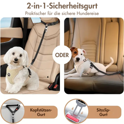 Hundegurt fürs Auto
