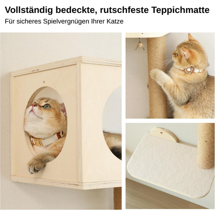 Katzenwandregal-Set 5-in-1