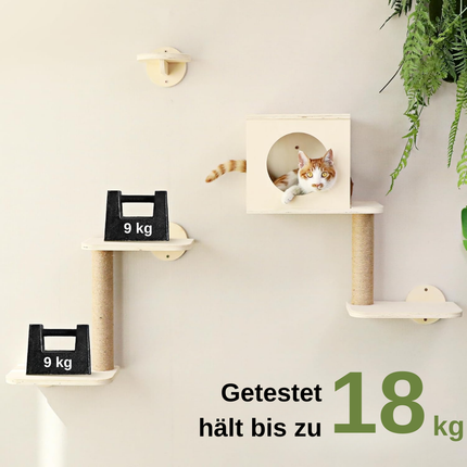 Katzenwandregal-Set 5-in-1