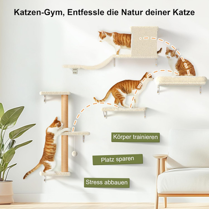 Kletterwand Katzen Set