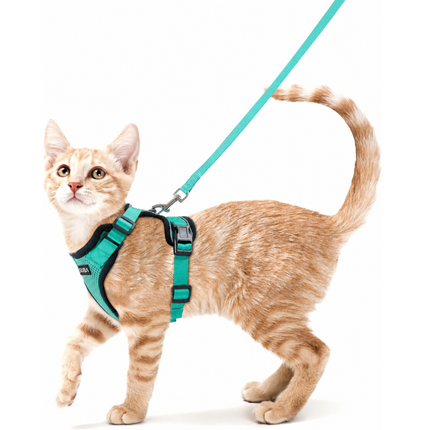 Katzengeschirr mit Leine ausbruchsicher